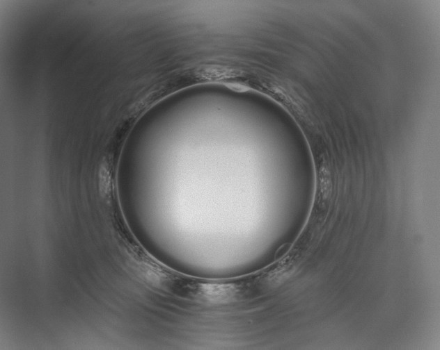 X0000073490371200608140848