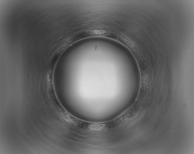 X0000073490373200608140848