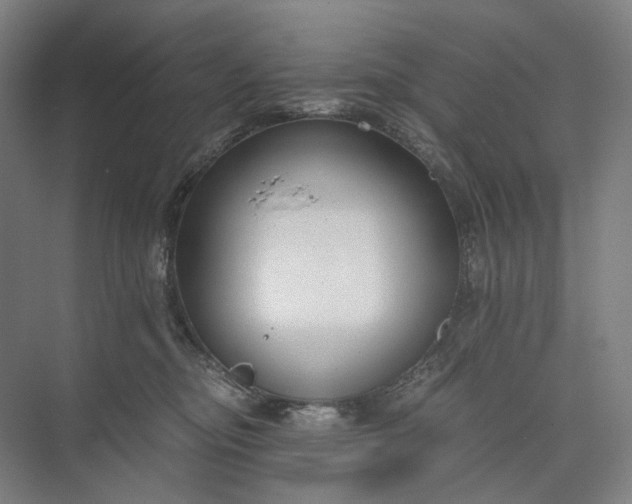 X0000073490374200608140848