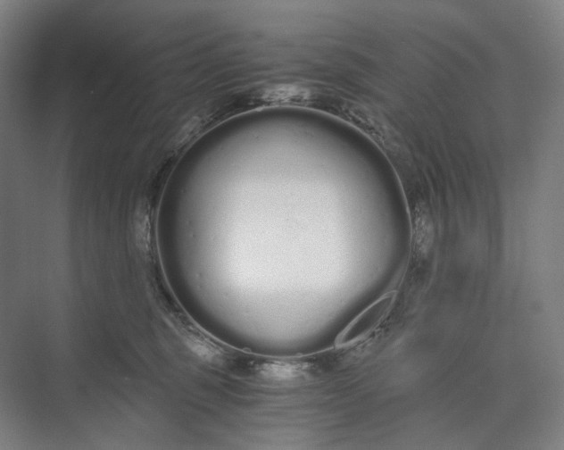 X0000073490375200608140848