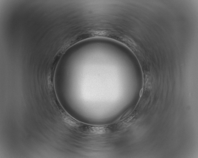 X0000073490377200608140848