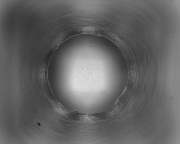 X0000073490379200608140848