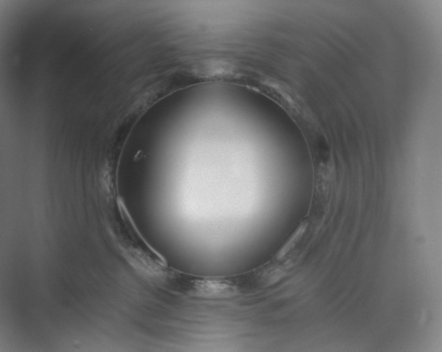 X0000073490380200608140848