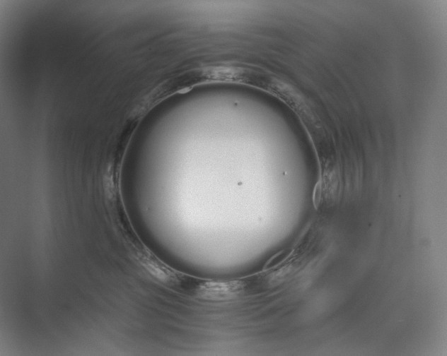 X0000073490381200608140848