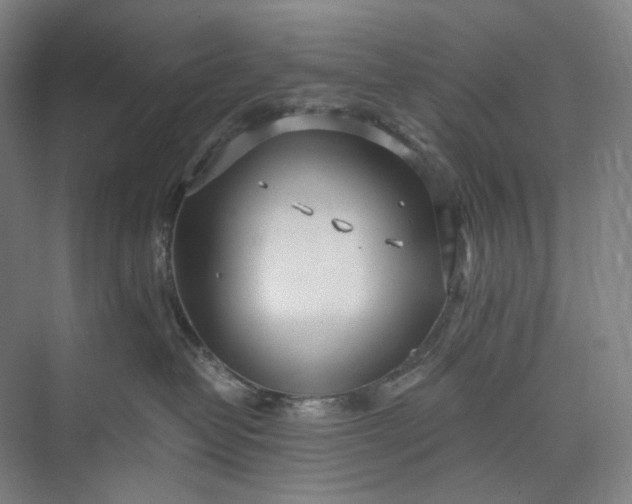 X0000073490382200608140848