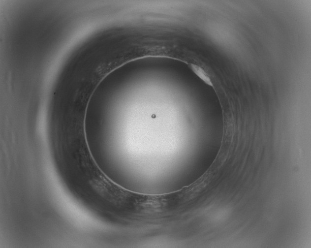 X0000073490383200608140848