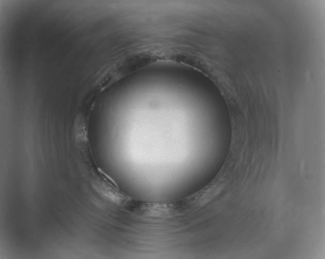 X0000073490384200608140848