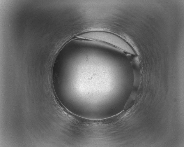 X0000073490385200608140848