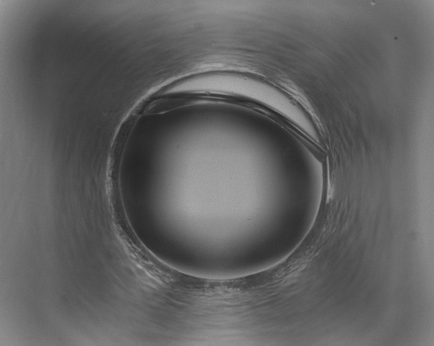 X0000073490387200608140848