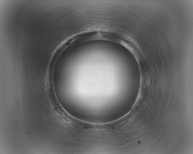 X0000073490388200608140848