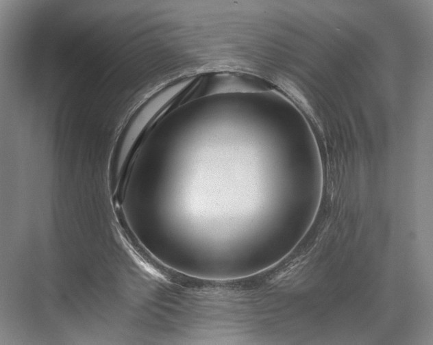 X0000073490389200608140848