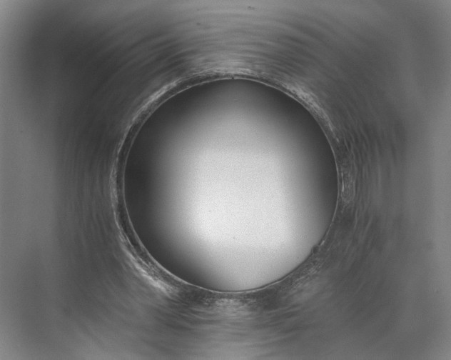 X0000073490390200608140848