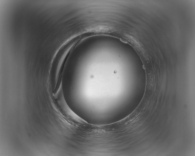 X0000073490392200608140847