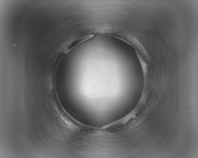 X0000073490393200608140847