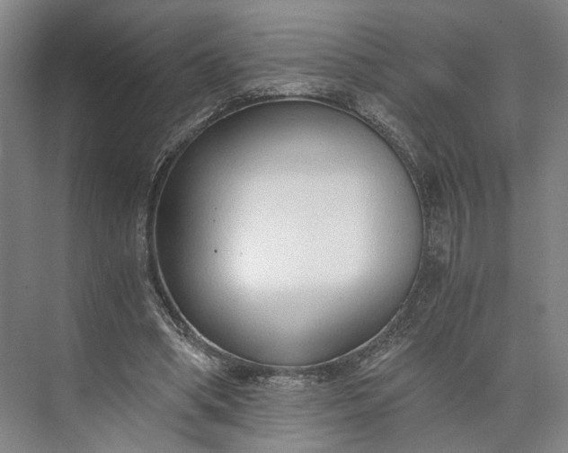 X0000073490394200608140847