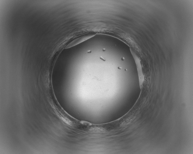 X0000073490397200608140847