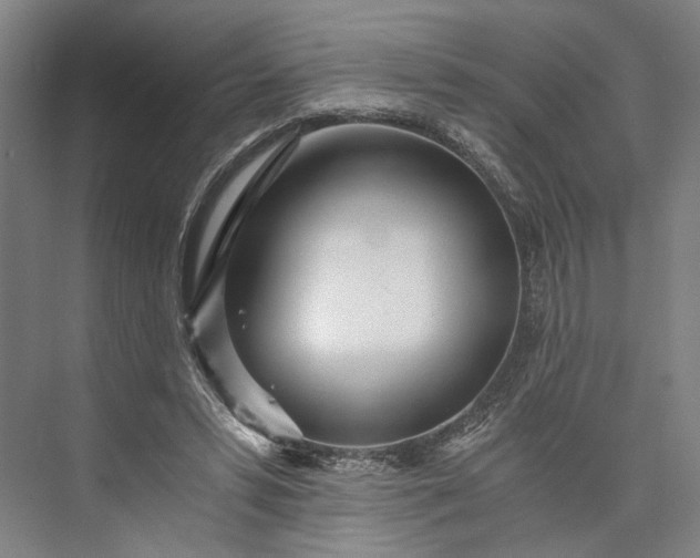 X0000073490399200608140847