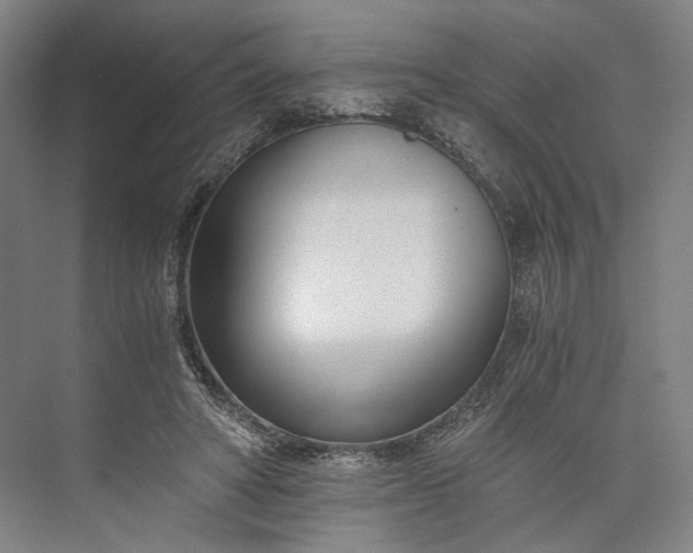 X0000073490402200608140847