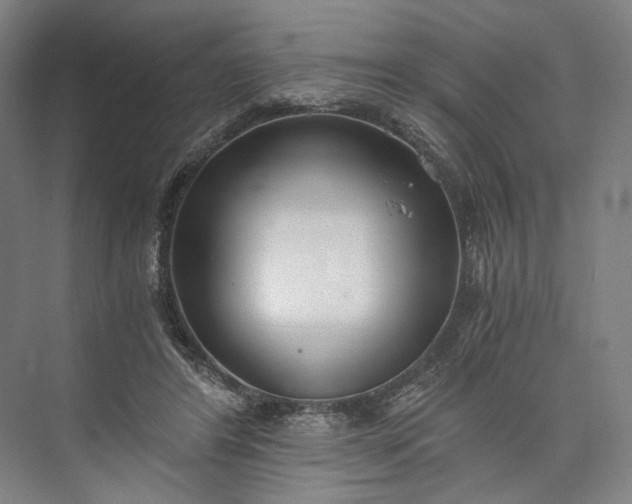 X0000073490404200608140847