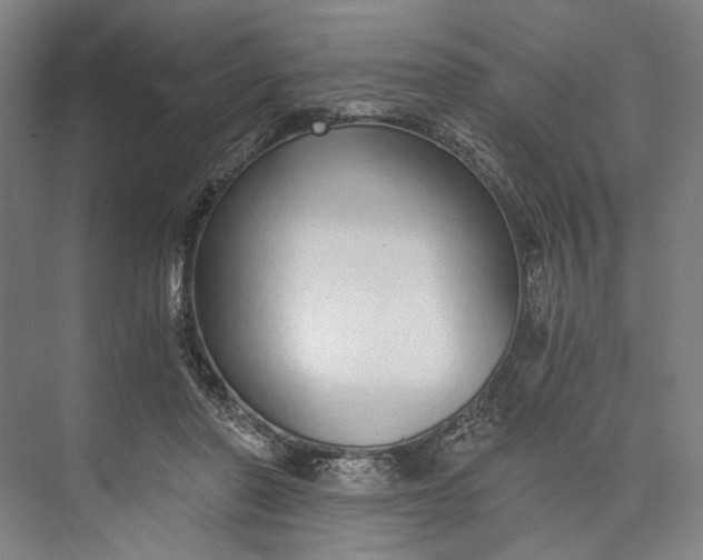 X0000073490406200608140847