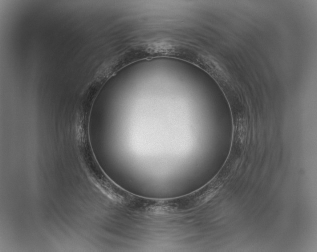 X0000073490408200608140847