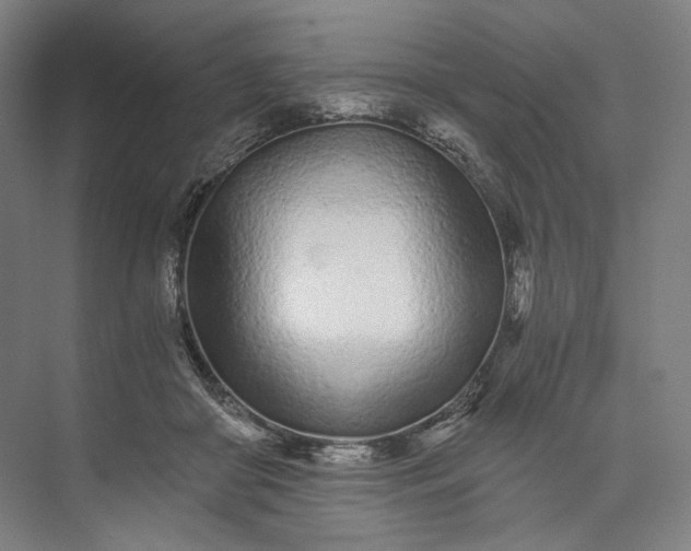 X0000073490410200608140847