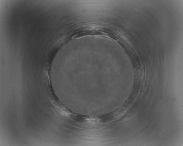 X0000073490415200608140847