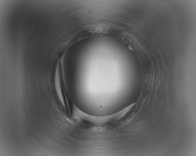 X0000073490416200608140847