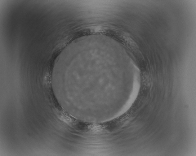 X0000073490419200608140847