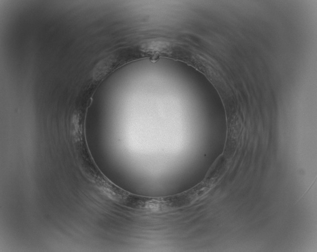 X0000073490420200608140847