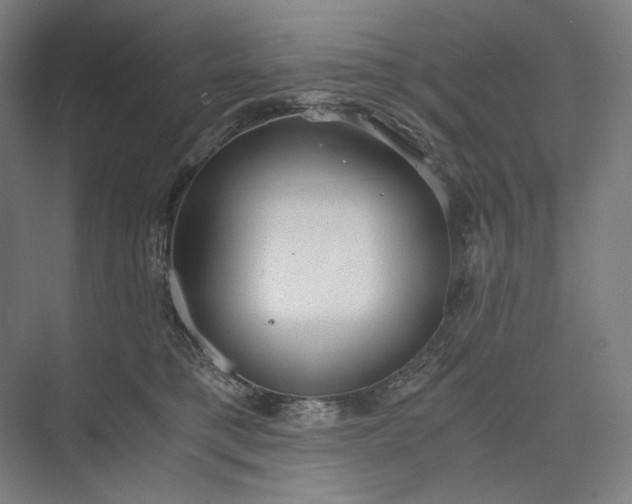 X0000073490421200608140847