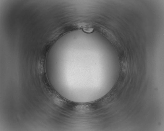 X0000073490422200608140847