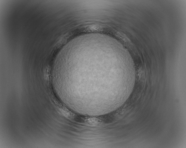 X0000073490423200608140847