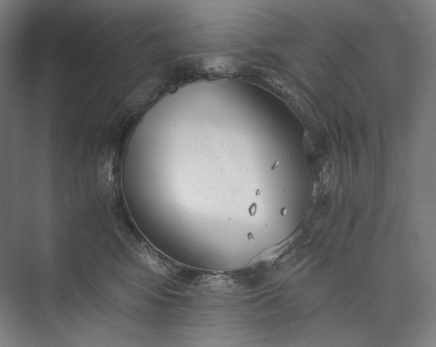 X0000073490424200608140847