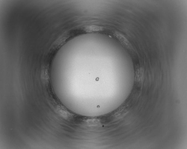 X0000073490426200608140847