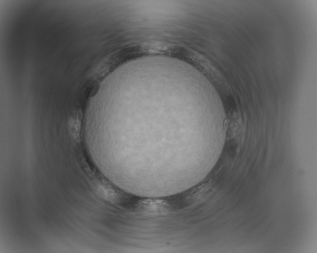 X0000073490427200608140847