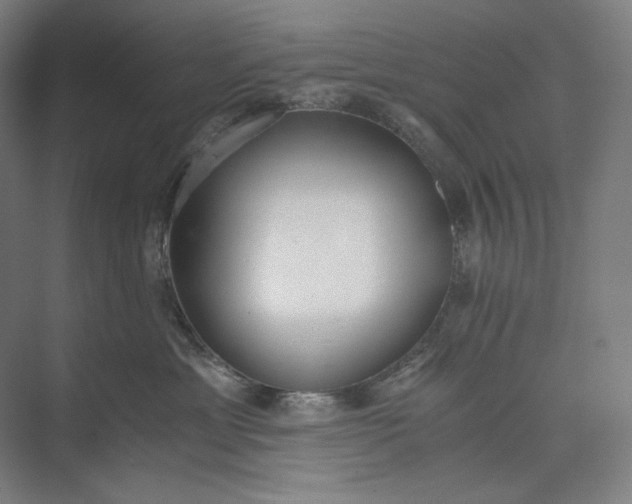 X0000073490429200608140847