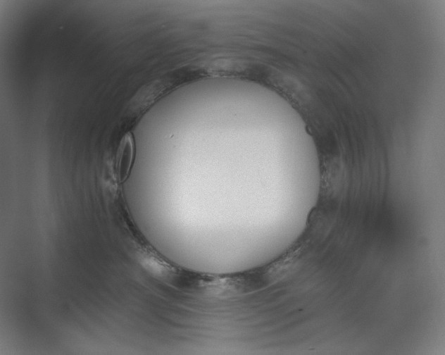 X0000073490430200608140847