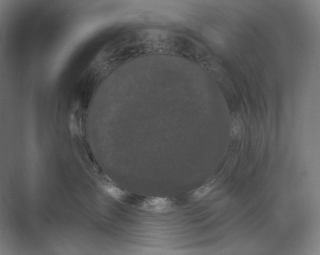 X0000073490431200608140847