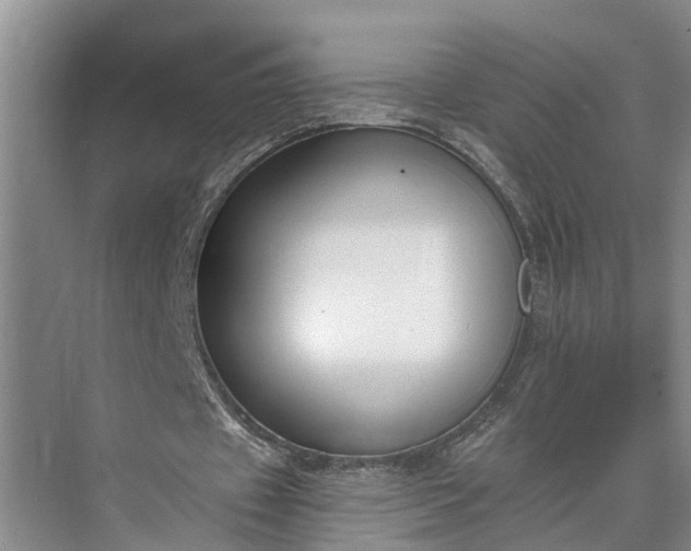 X0000073490433200608140846