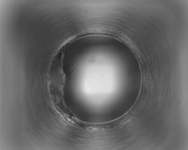 X0000073490434200608140846