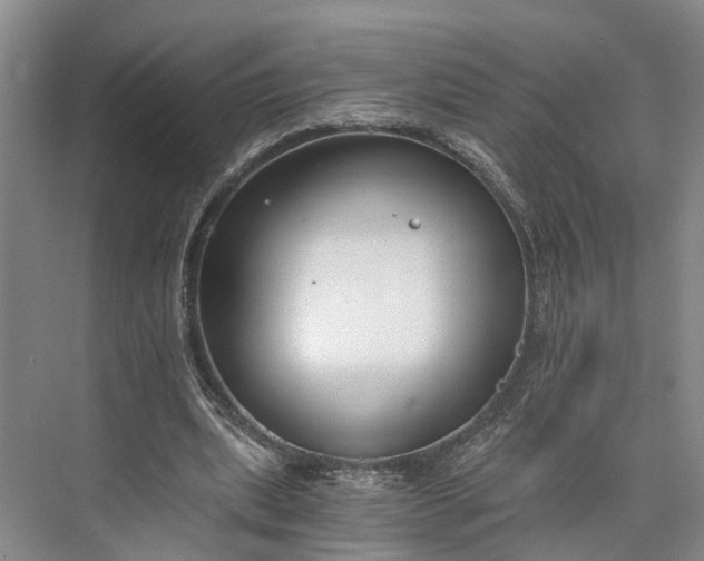 X0000073490439200608140846