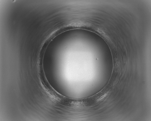 X0000073490440200608140846