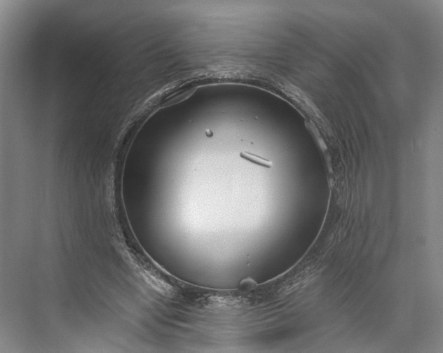 X0000073490442200608140846