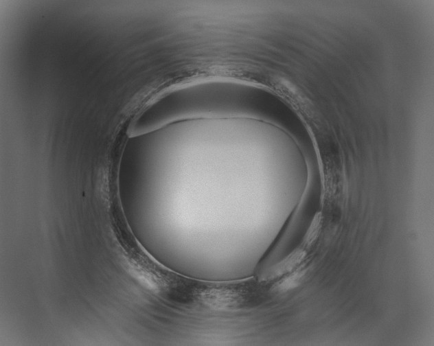 X0000073490444200608140846