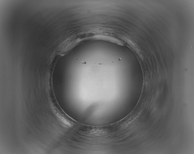 X0000073490445200608140846