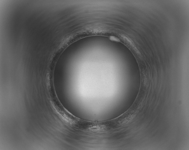 X0000073490447200608140846