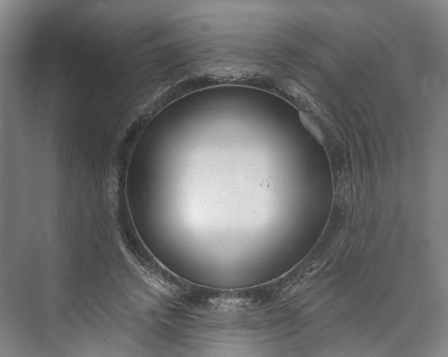 X0000073490448200608140846