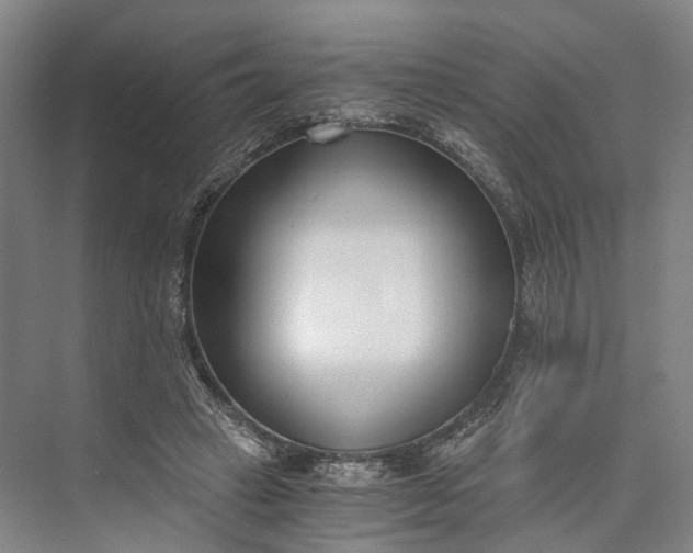 X0000073490449200608140846