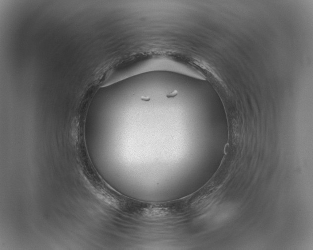 X0000073490451200608140846